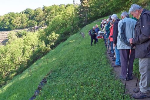 auf-freigestelltem-triebweg-small